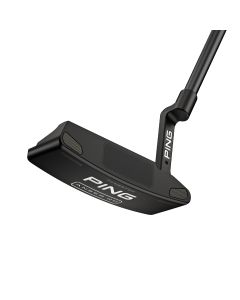 Ping 2023 Anser 2D